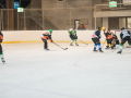 20190119_175632_icehockey_aktive_web