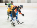 20190119_185026_icehockey_aktive_web