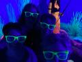 IMG-20240319-WA0002