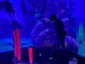 IMG-20240319-WA0016