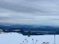 IMG-20240309-WA0010