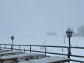 IMG-20240312-WA0002