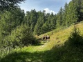 IMG_8722