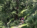 IMG_8725
