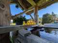 bericht_turnfahrt-aktive_24_foto-13