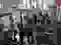 bericht_turnfahrt-aktive_24_foto-2