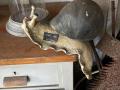 IMG-20240922-WA0126