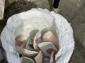 IMG-20240922-WA0129