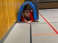 IMG-20241126-WA0020
